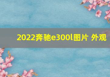 2022奔驰e300l图片 外观